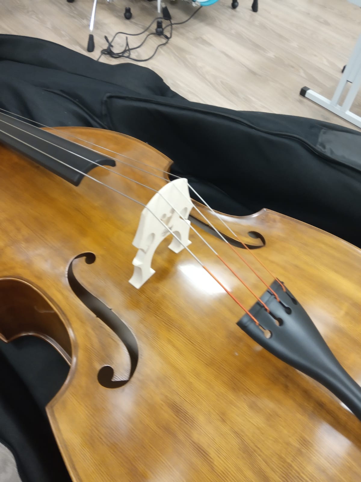 Что такое бас гитара